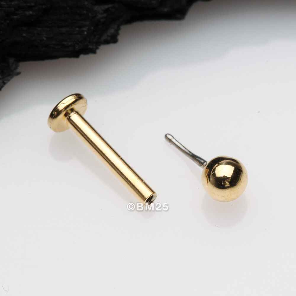 Golden Basic Ball Top Threadless Push-In Steel Labret