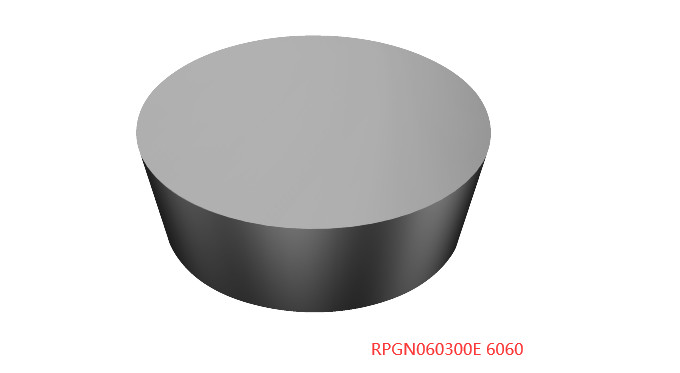 10 PCS  ORIGINAL  INSERTS  RPGN060300E 6060