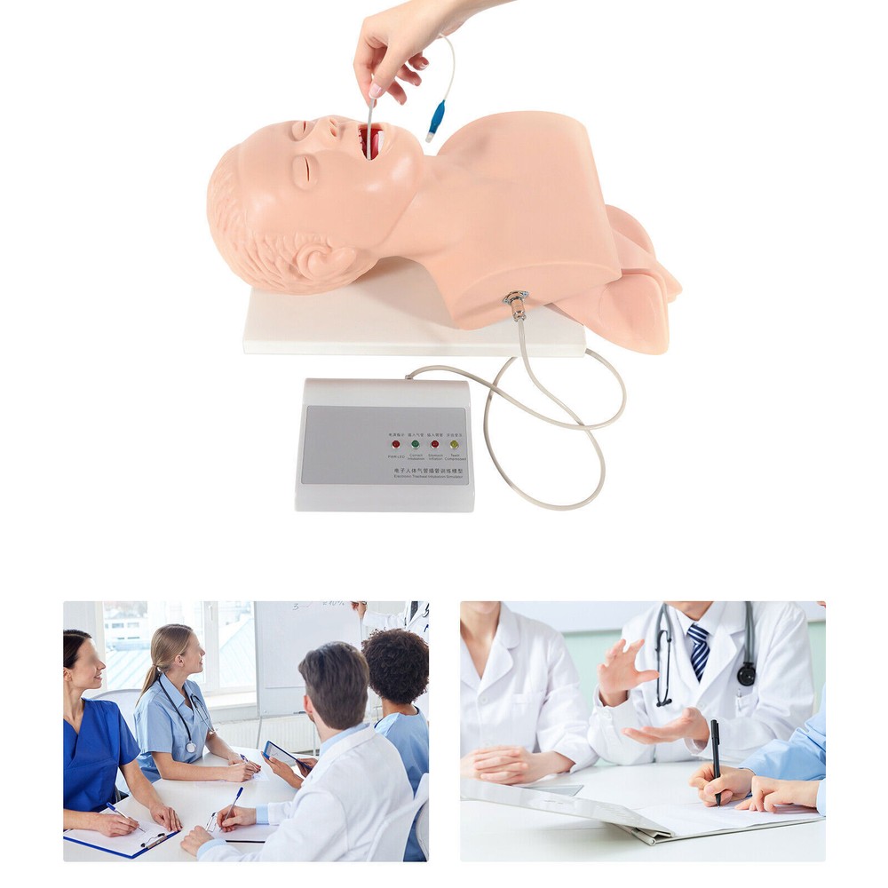 Simulator Airway Management Trainer Tool Model Intubation Manikin Study Teaching
