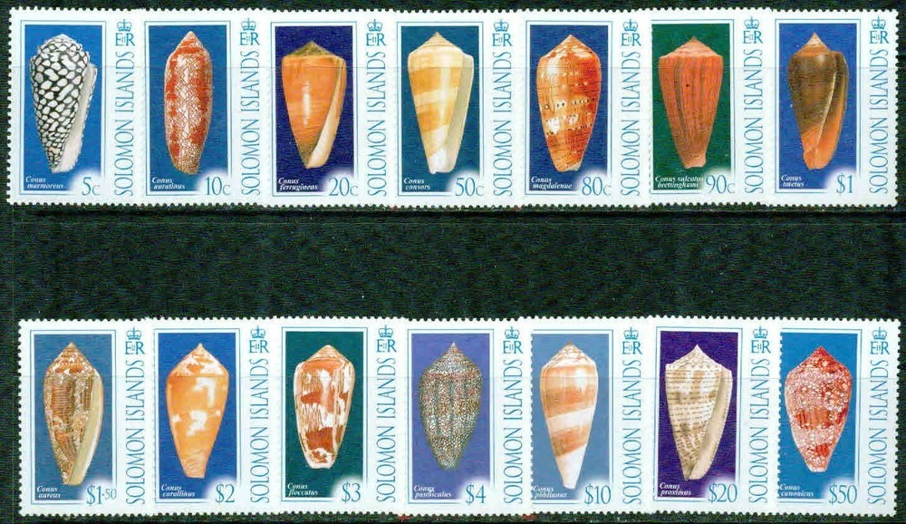 SOLOMON ISLANDS  – 2006   – SHELLS  – VF  **