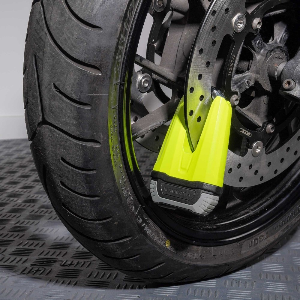 Mammoth Security Renegade Disk Lock