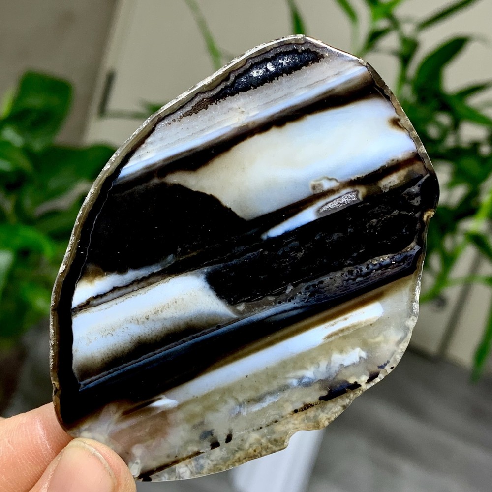 44G Natural Beautiful Agate Geode Druzy Slice Extra Large Gemstone