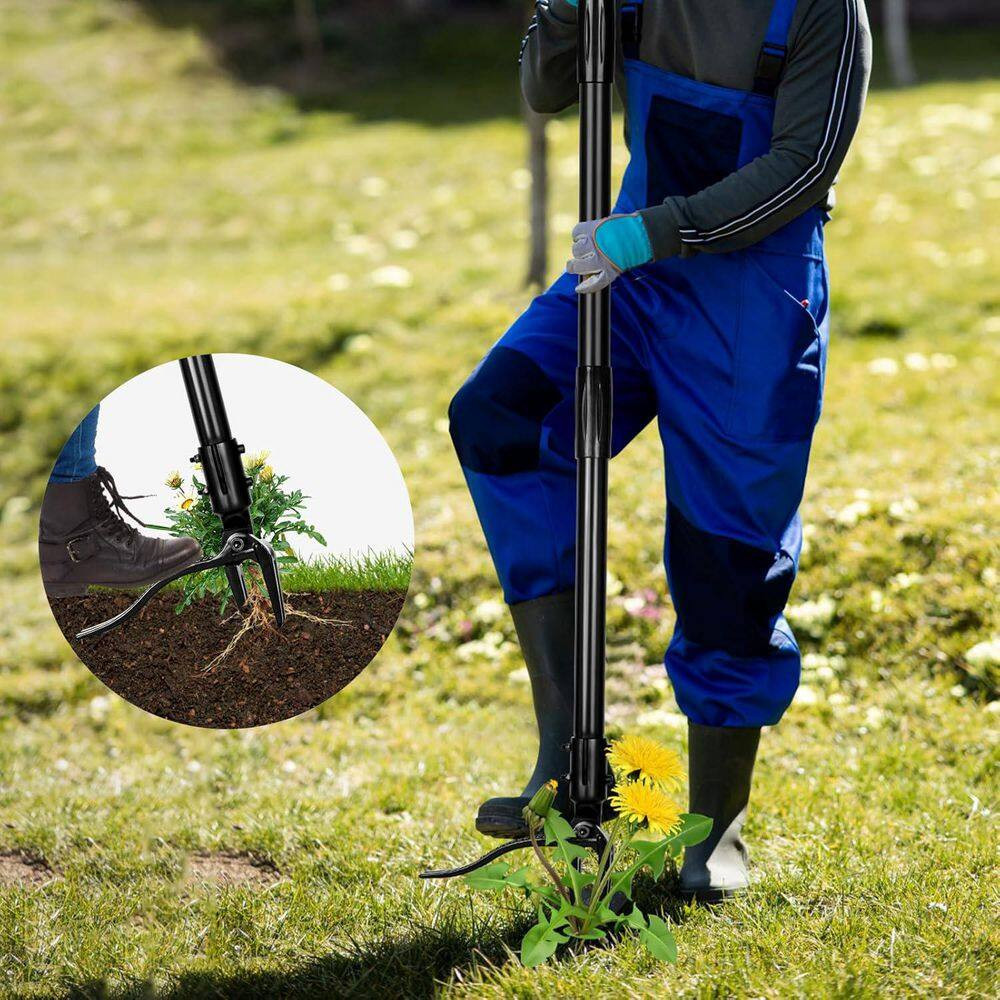 Weed Puller Tool with 4 Claw Head and Long Adjustable Handle for Different Heigh