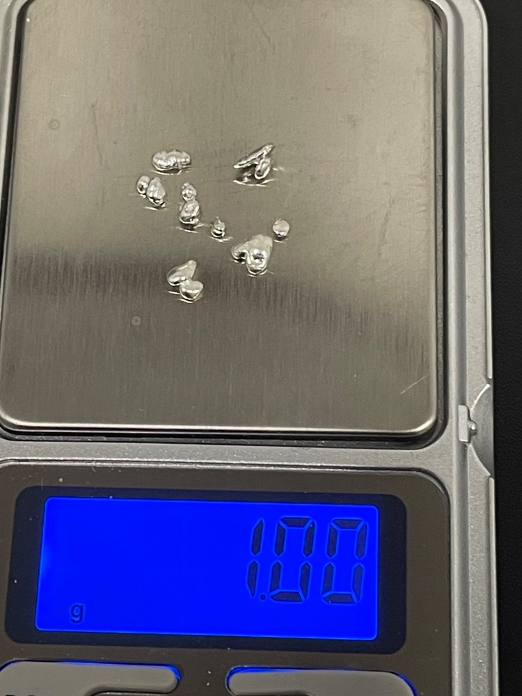 1 GRAM OF .9999 FINE SILVER SHOT