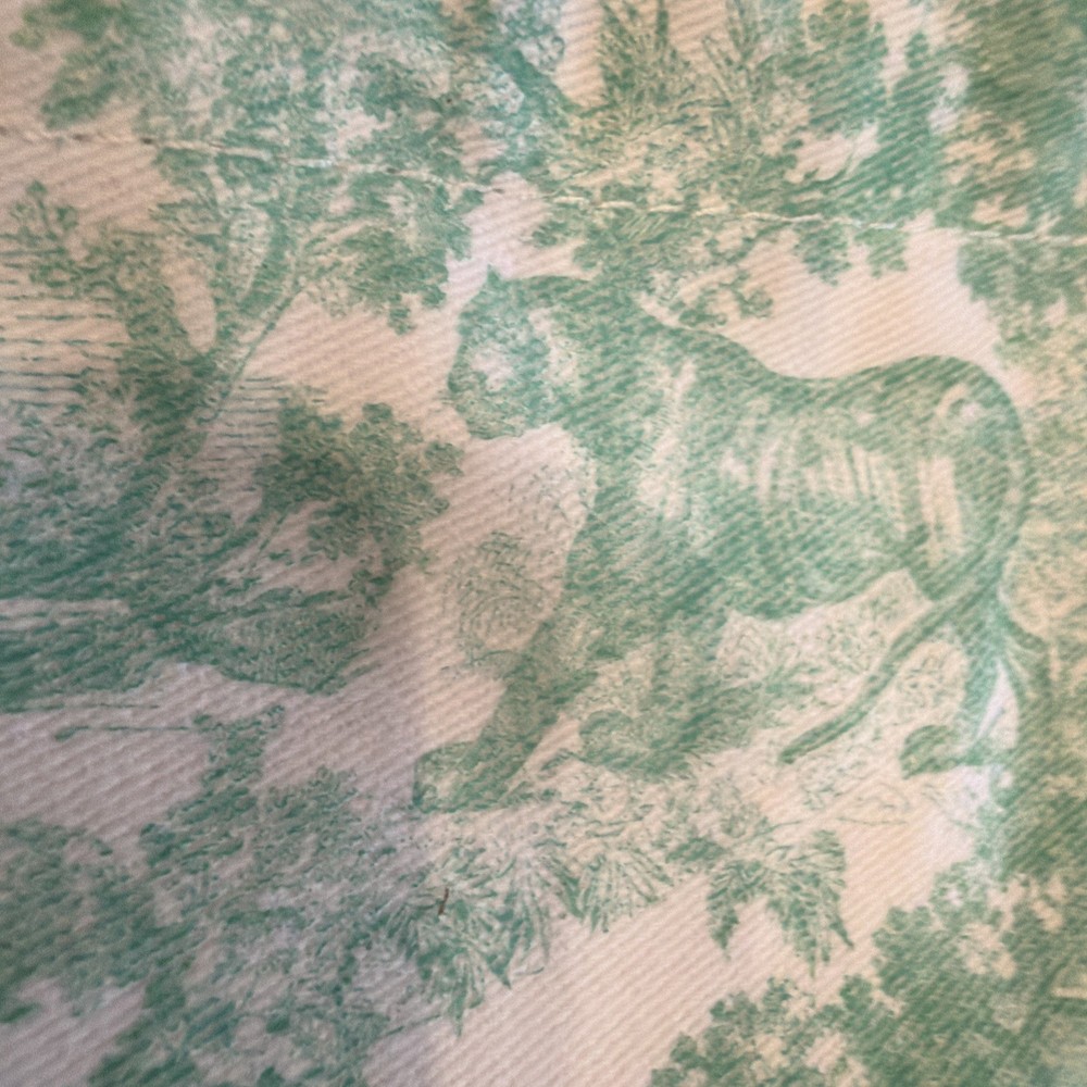 Authentic dior cavas special edition dust bag