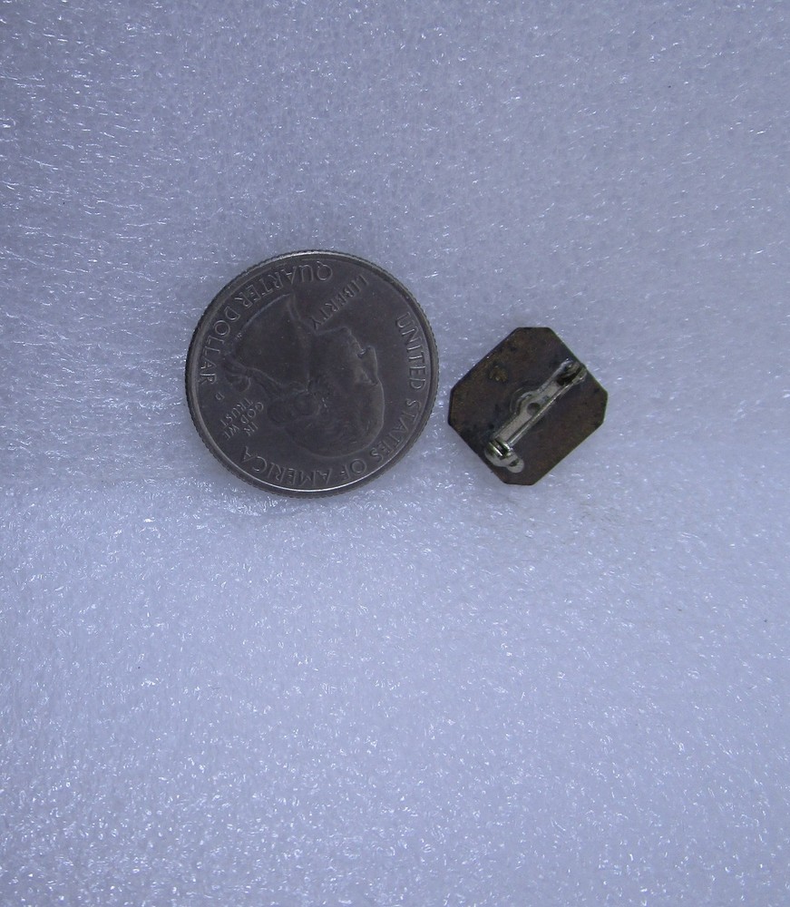 4H First Year Pin