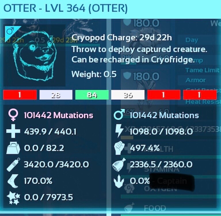 Solid Red Otter Breeding Pair Ark Survival Ascended PVE ASA