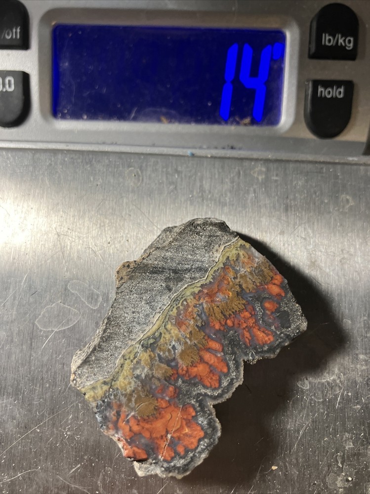 Wingate Agate Slab