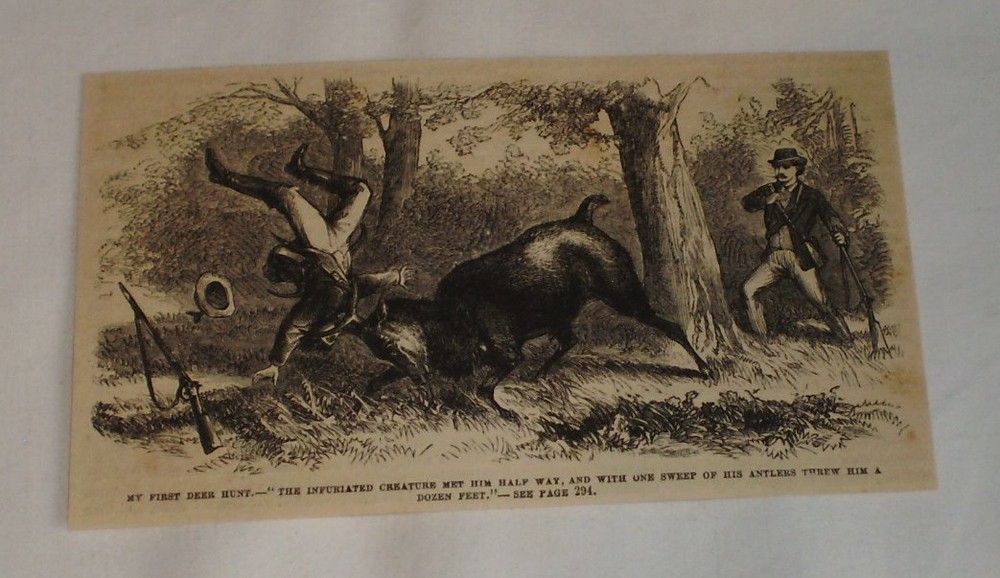 1877 magazine engraving ~ DEER ATTACKING A HUNTER