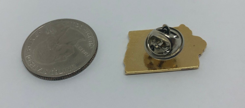 Discover Iowa Treasures Pin