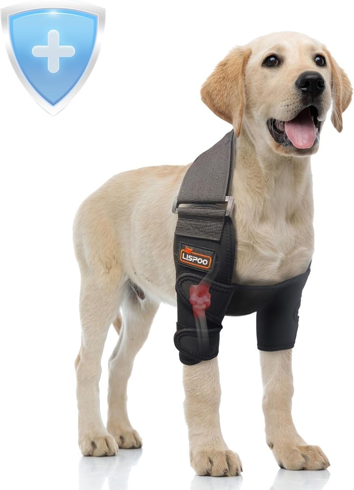 Dog Elbow Brace & Protector, Front Leg Support Sleeve for Arthritis (XL)