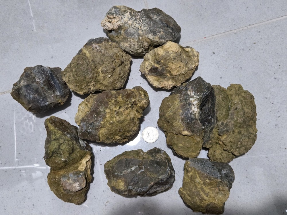 OLD RICHARDSON RANCH MOSS BED THUNDER EGG ROUGH - 8 LB