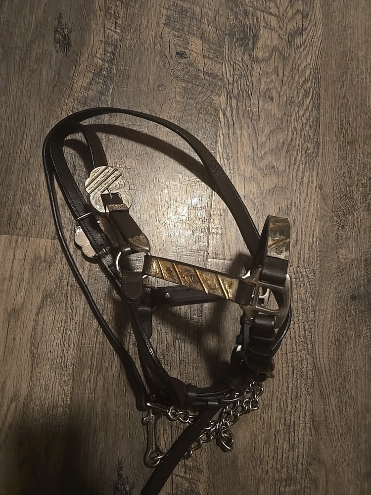 western show halter