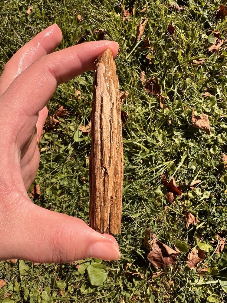 Petrified Wood Stick 1.4 Oz