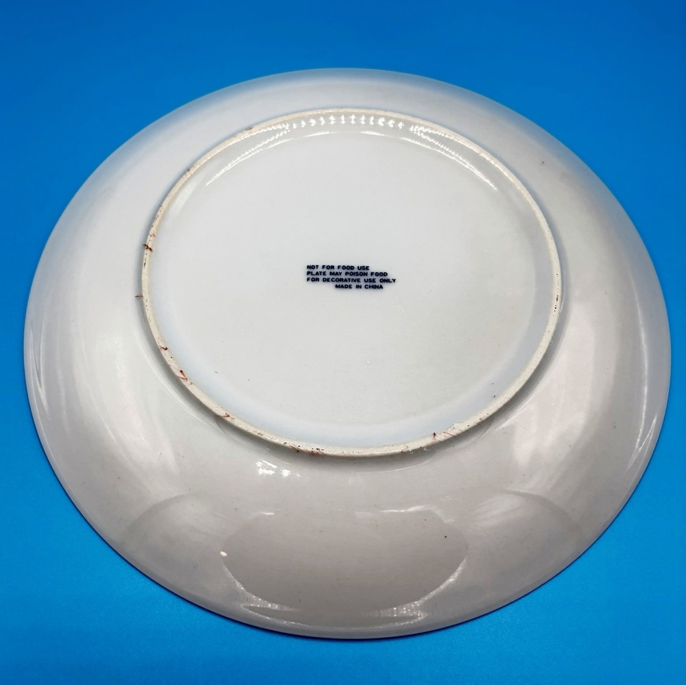 St. Augustine Florida Souvenir Plate Blue White Transferware - Decorative