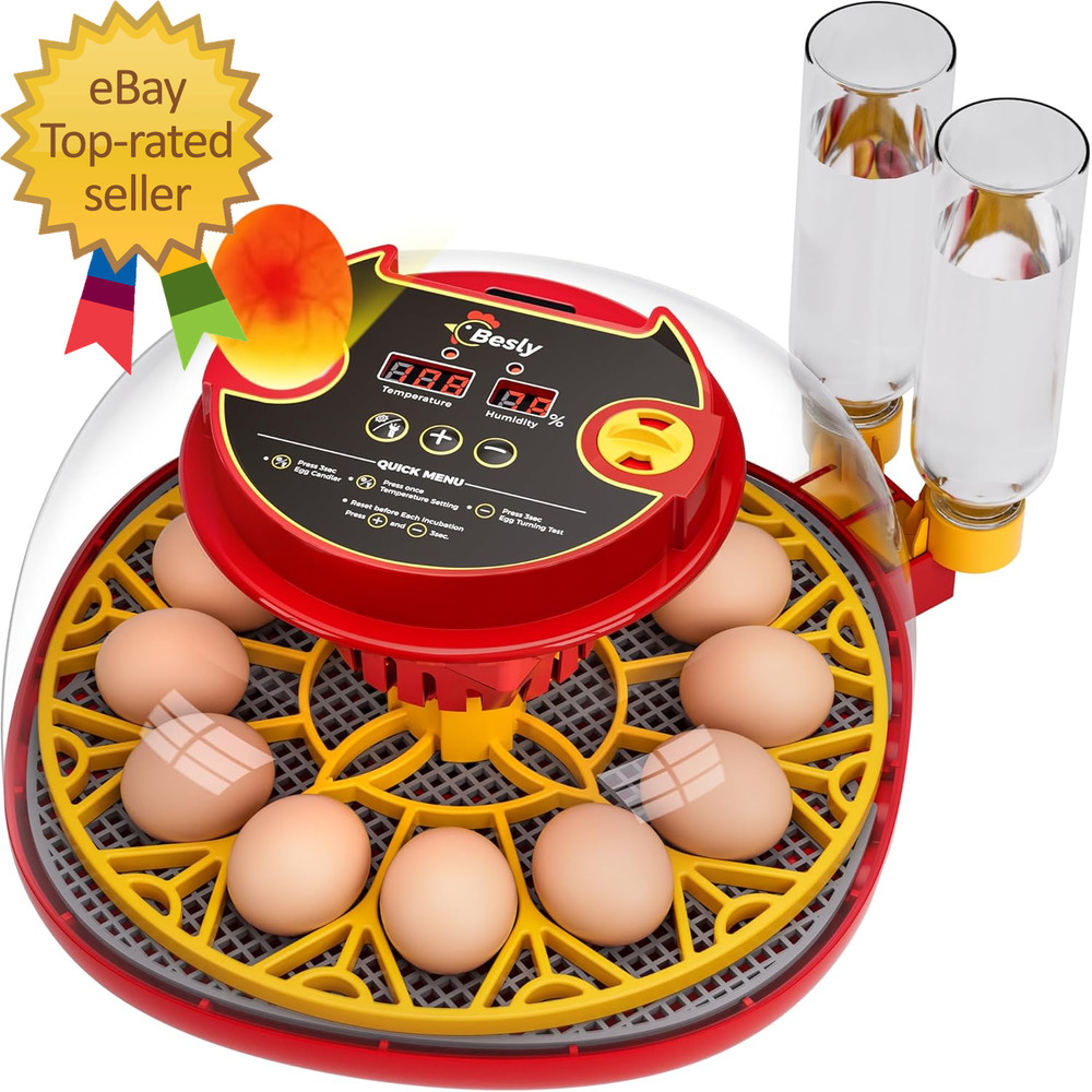 Incubator for Hatching Eggs  Automatic Turning  Temperature