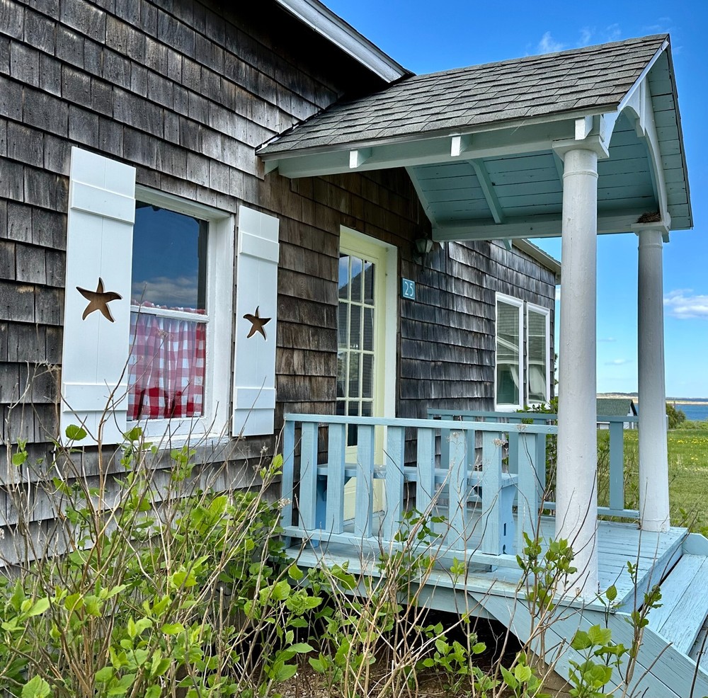 Custom Starfish Shutter, PVC Exterior Shutter, Sold Individually