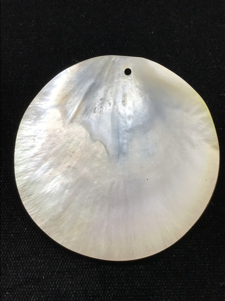 Vintage Polished Shell ready to use in multiple applications