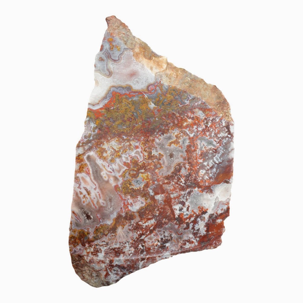 Apple Valley Agate Slab - Multicolor Fortification Tubes Moss