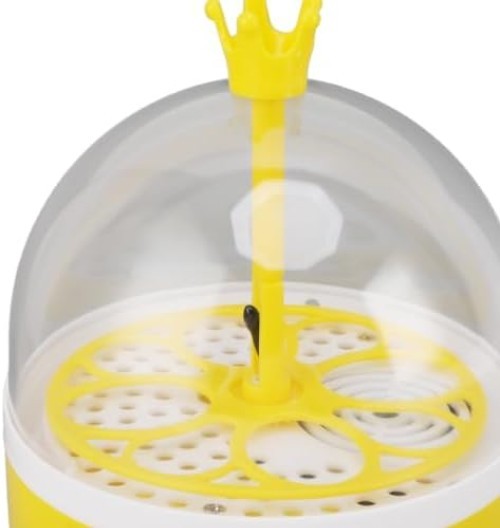 Mini Egg Incubator, Temperature Control Digital Incubators, 4 Eggs Candler Po...