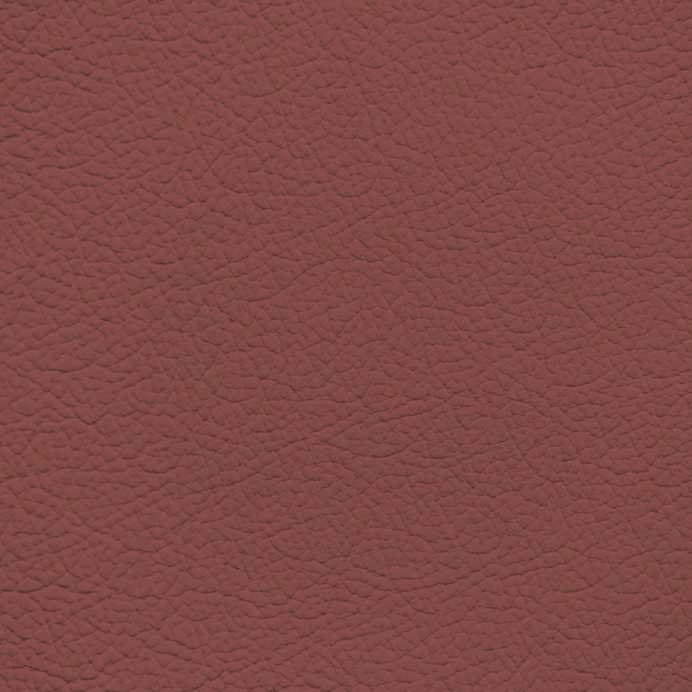 BMW Havana Leather Dye