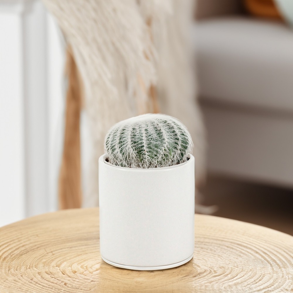 White Ceramic Cylinder 4x4"H | Floral Container | Centerpiece, 1 Pc