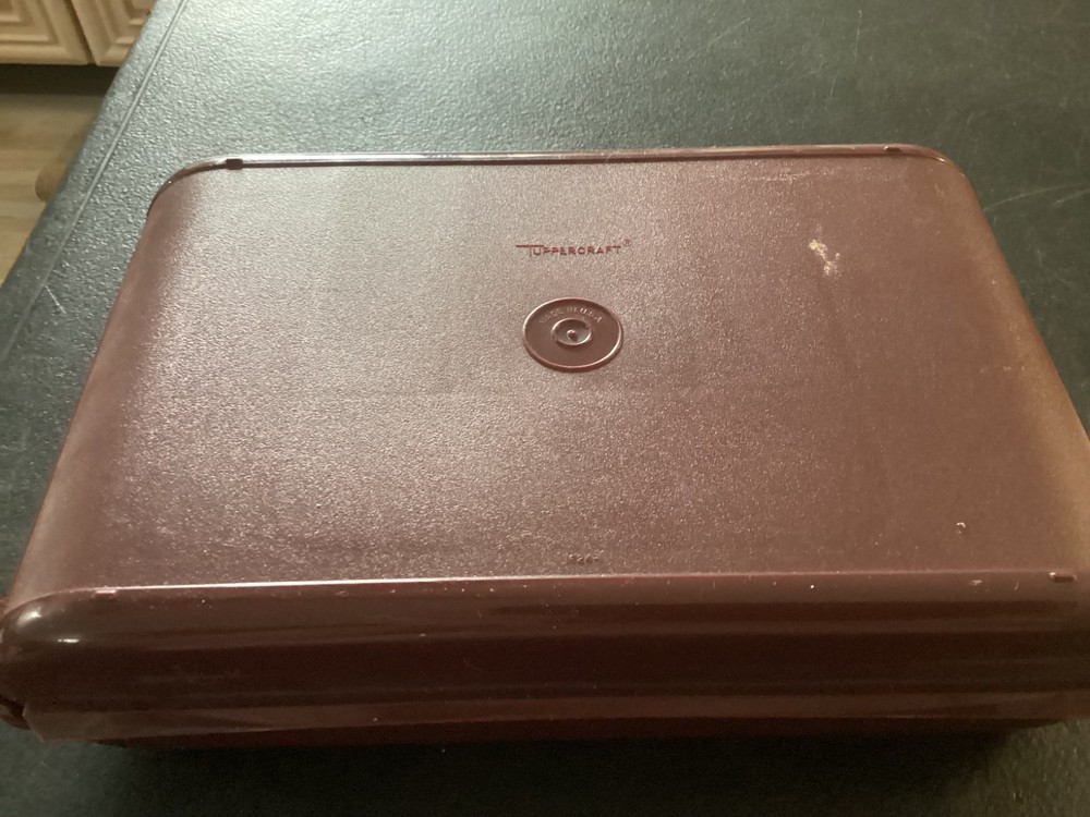 Tupperware Personal Travel Case #1624-2
