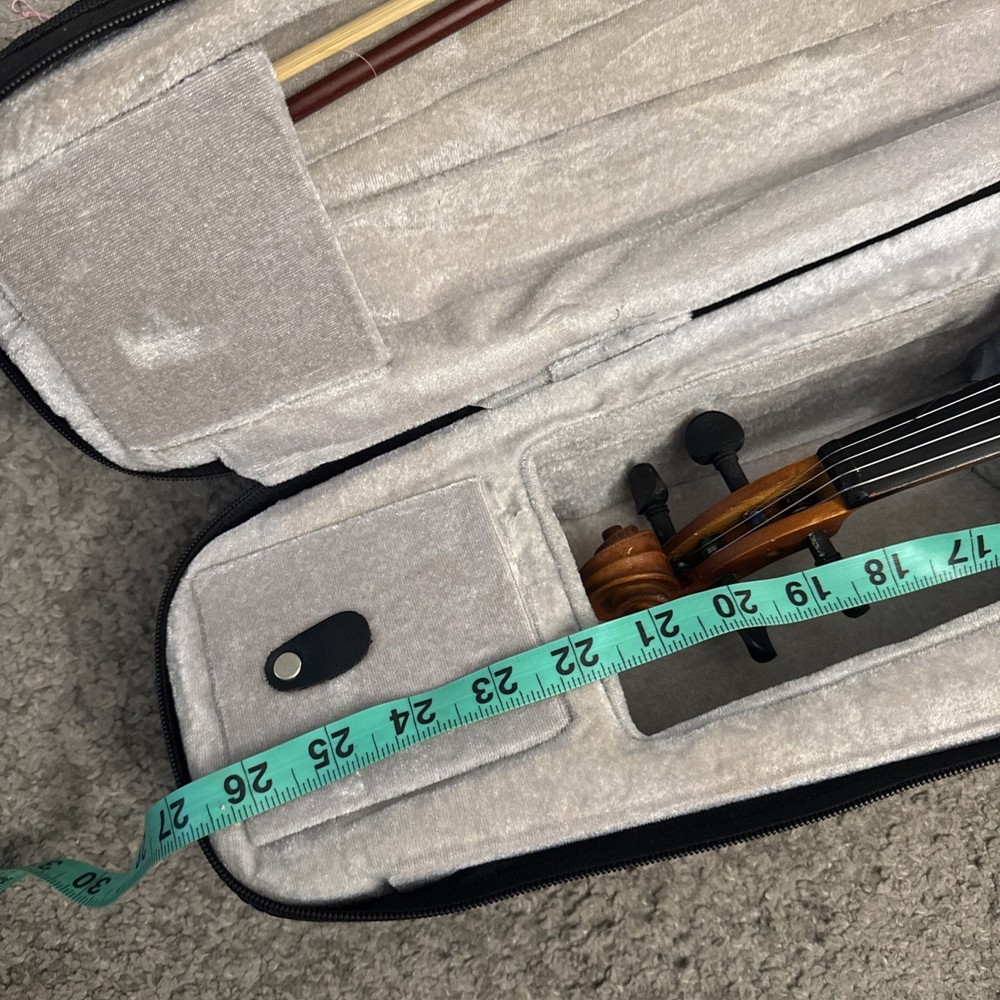 Violin In Case Instrument Mendini