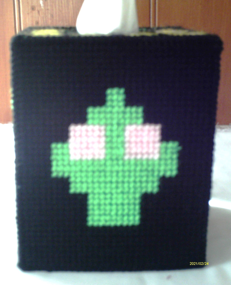 "Centipede" Tissue Box Cover (Plastic & Yarn) Finished
