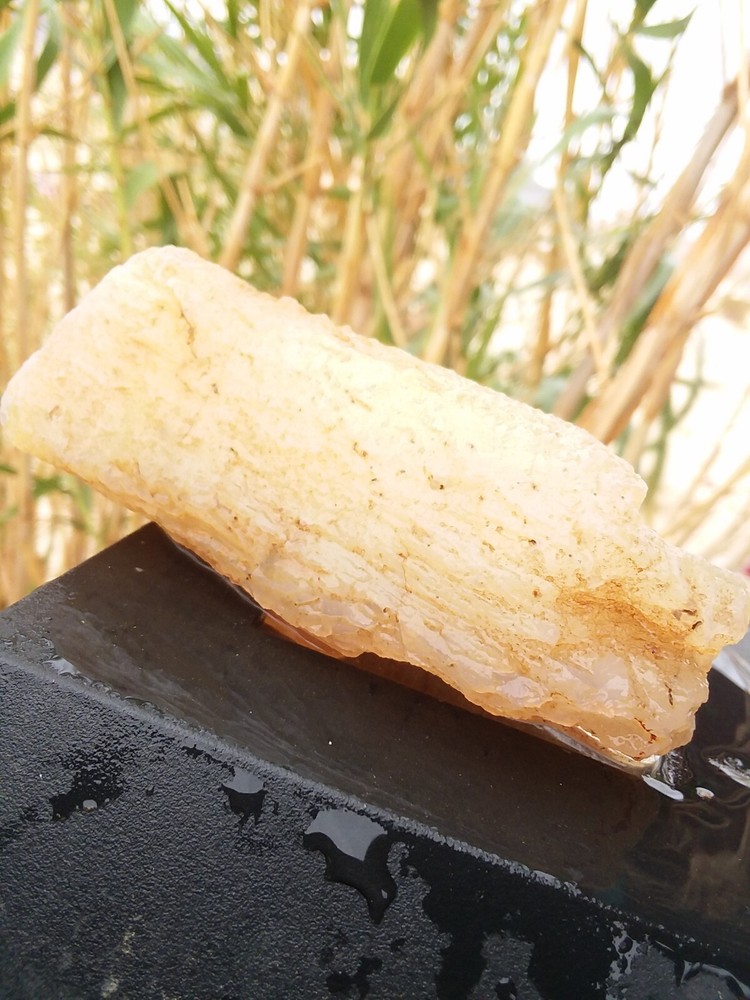 Chalcedony Filling Possible Petrified Would Opalized