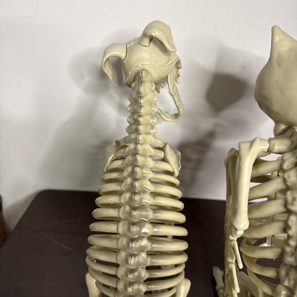 Owl & Dog Skeletons Bones 12" Spooky