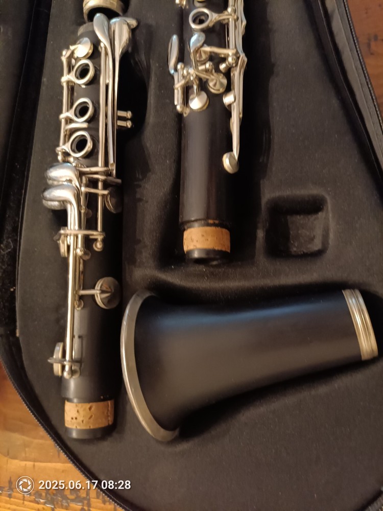 Borg Black Silver Standard Clarinet Set With Case (Untested)