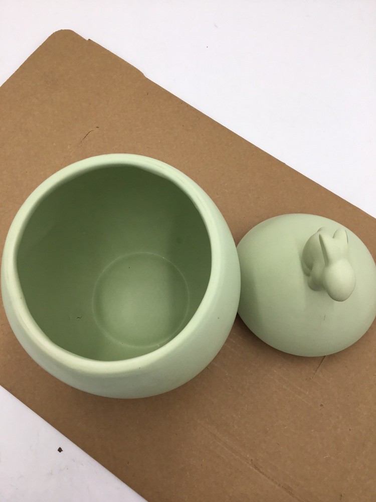 Haven Easter Bunny Cookie Jar Sage -(Defect)