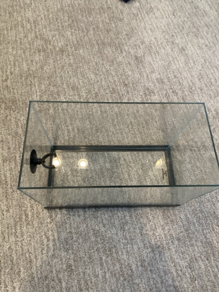 5 Gallon Fish Tank with Accessories