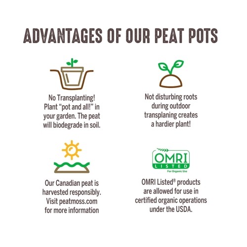 Jiffy 3″ Round Growing Medium Peat Pots — Biodegradable Seed Starter (10 Pack)
