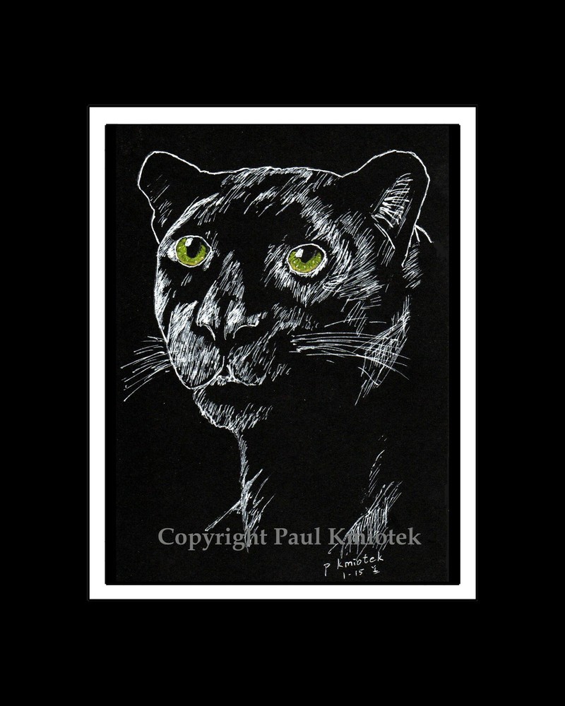 Black Leopard Print, Note Card, Pen and Ink, Matted