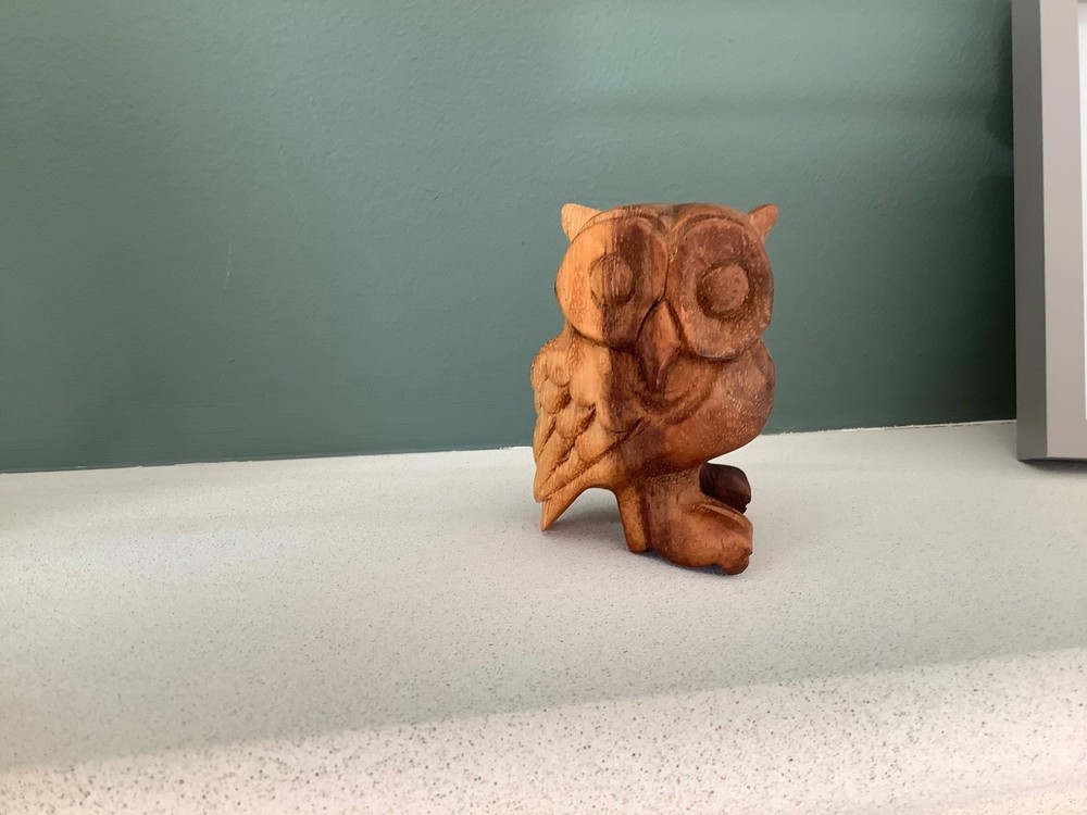 PP Hooting Owl Guiro