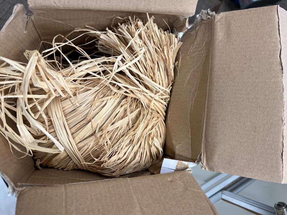 momarsh invisigrass