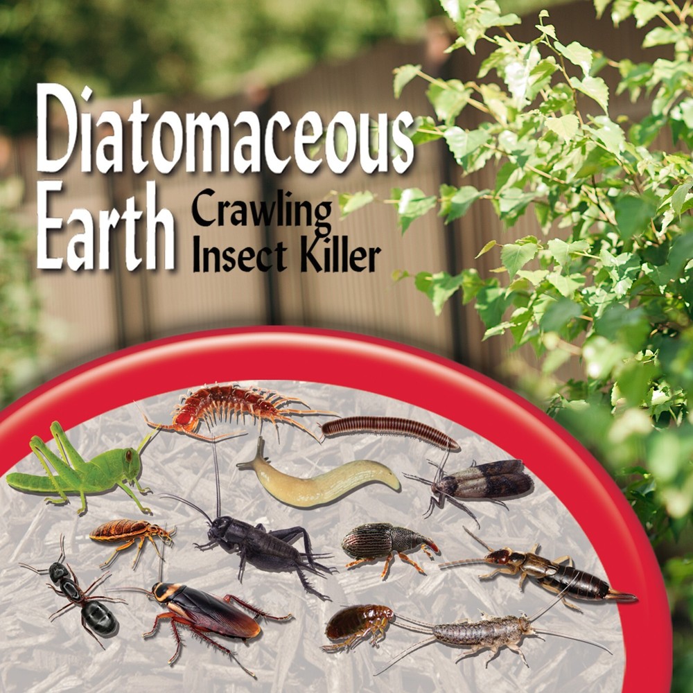 Bonide 121 5Lb Diatomaceous Earth Bed Bug Flea Ant Crawling Insect Killer 4 Pack