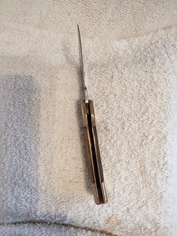 Pocket Knife w/ Sheath