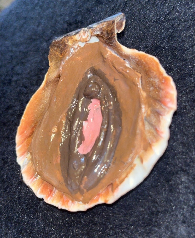 SheShell ooak oddity seashell vagina handcrafted