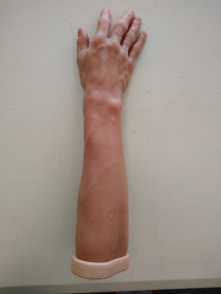 3B Scientific Suture Practice Arm, Light Skin. Great Condition!
