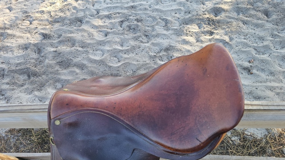 Collegiate Saddle 6524