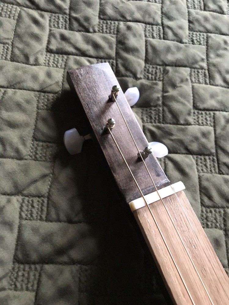 3 String Fretless Box Guitar