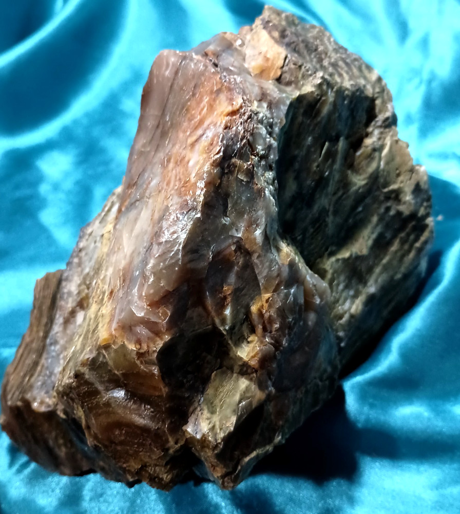 Opalized Petrified Wood Display Specimen WA State 7 LB 8 OZ