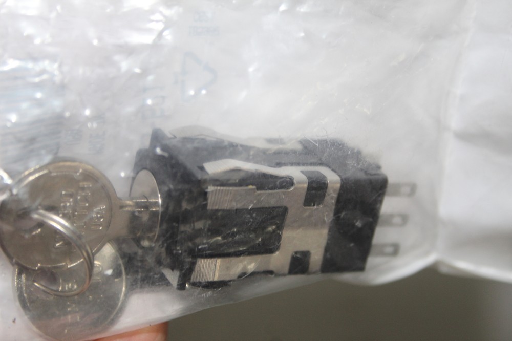 3XKey Switch, Double Pole Double Throw (DPDT)(C5877-R13)