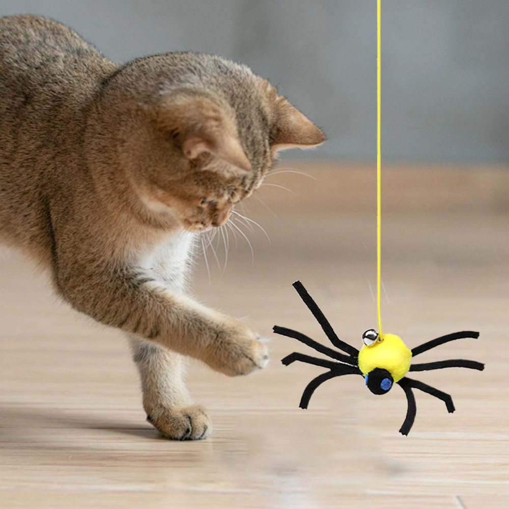 Interactive Cat Toy Door Frame Hangable Elastic String Spider Game Kitten Pet