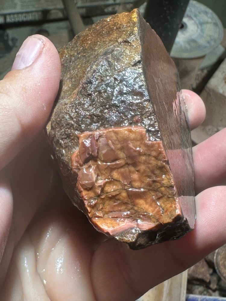 Dinosaur gem bone rough chunk.