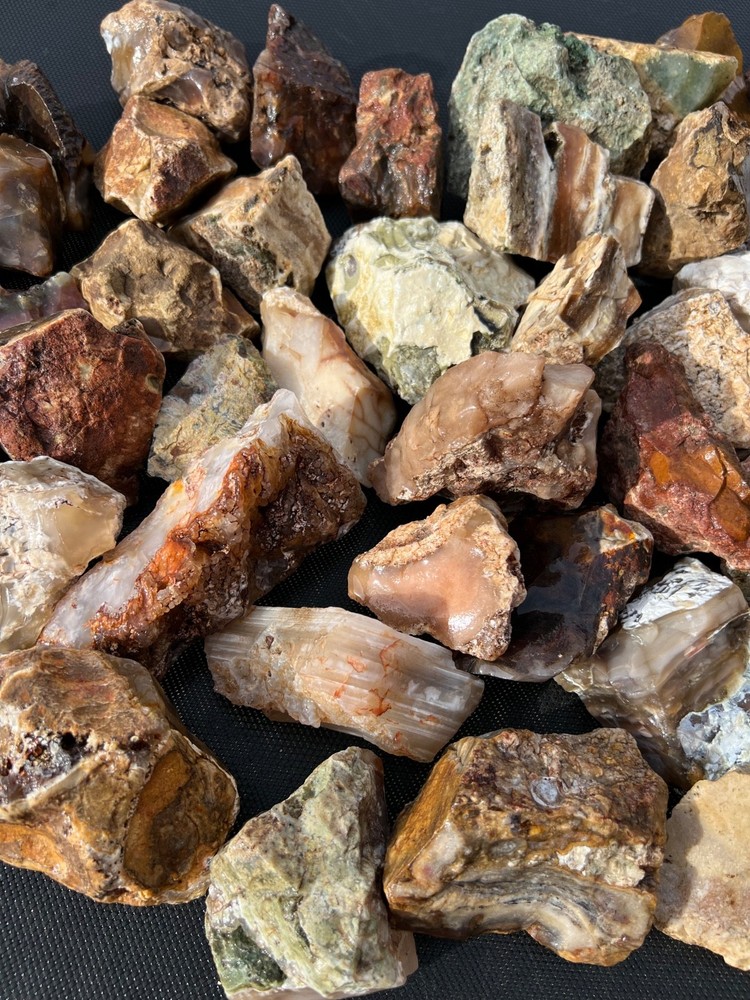 Owyhee Agate/Jasper Rough Lot 30.5 lbs (LL4)