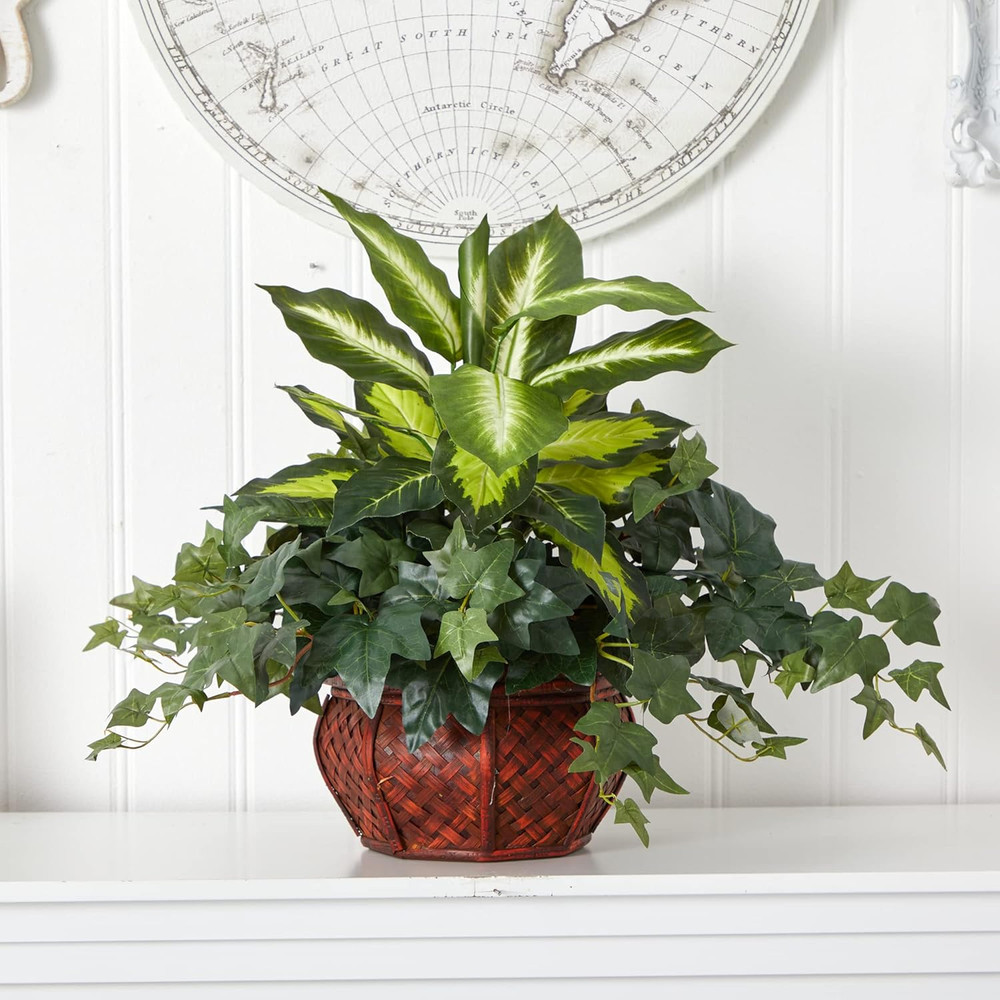 Dieffenbachia & Ivy with Decorative Planter